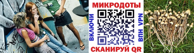 Псилоцибиновые грибы Psilocybine cubensis  Купить закладки  Пикалёво 